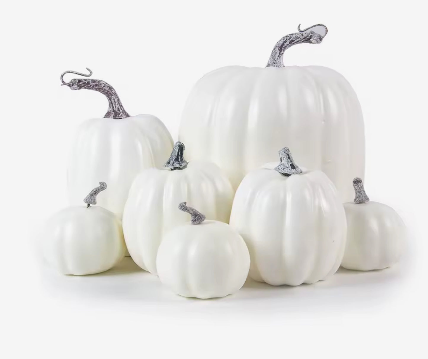 Set di Zucche decorative