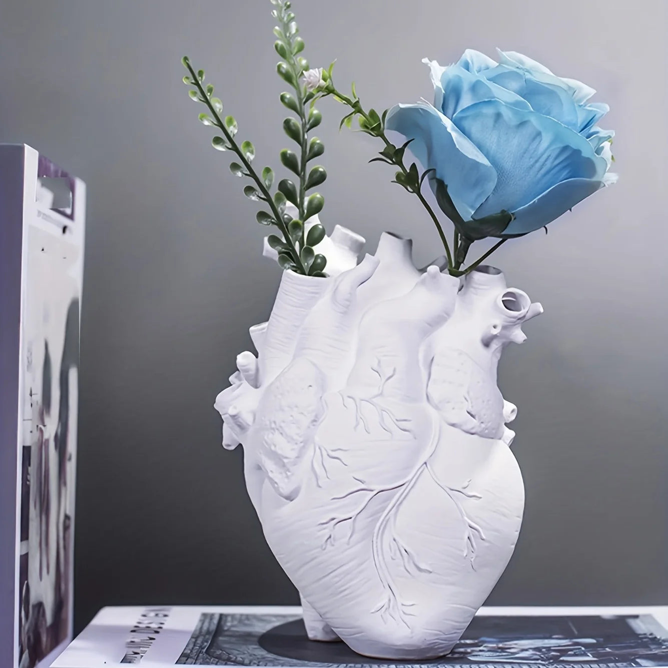 Vaso cuore anatomico