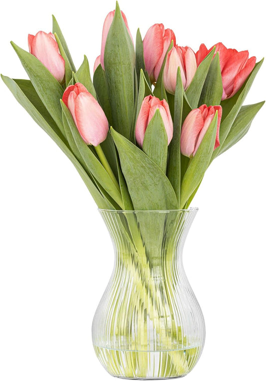 TREND FOR HOME Vaso Fiori 18 cm Vaso a Tulipano Vaso per Fiori Vaso da Interno Vaso Trasparente Striature Longitudinali Vaso Vetro Vasi Moderni da Interno | ⌀ 11 cm | 1229 ml | Lyra Luminous