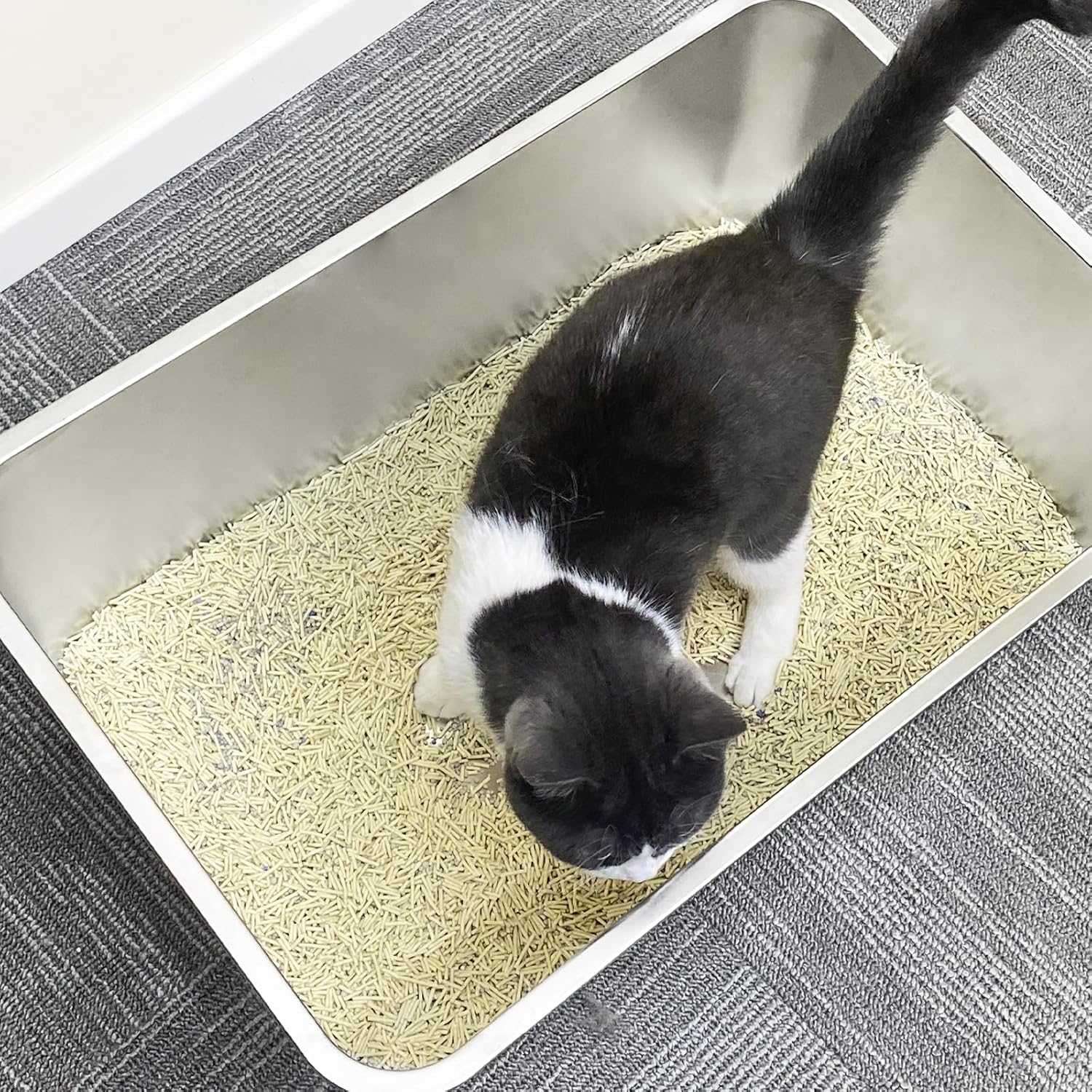 PTLOM Lettiera per gatti in acciaio inossidabile, grande lettiera per gatti in metallo, antispruzzo, inodore e antiaderente, adatta per gatti grandi e piccoli, conigli, zampa di Tabby, 60x40x15cm