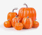 Set di Zucche decorative