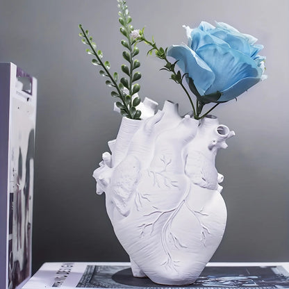 Vaso cuore anatomico